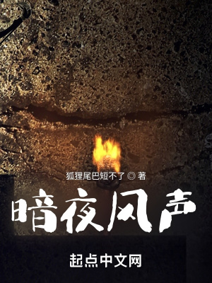 暗夜风暴免费观看全集西瓜
